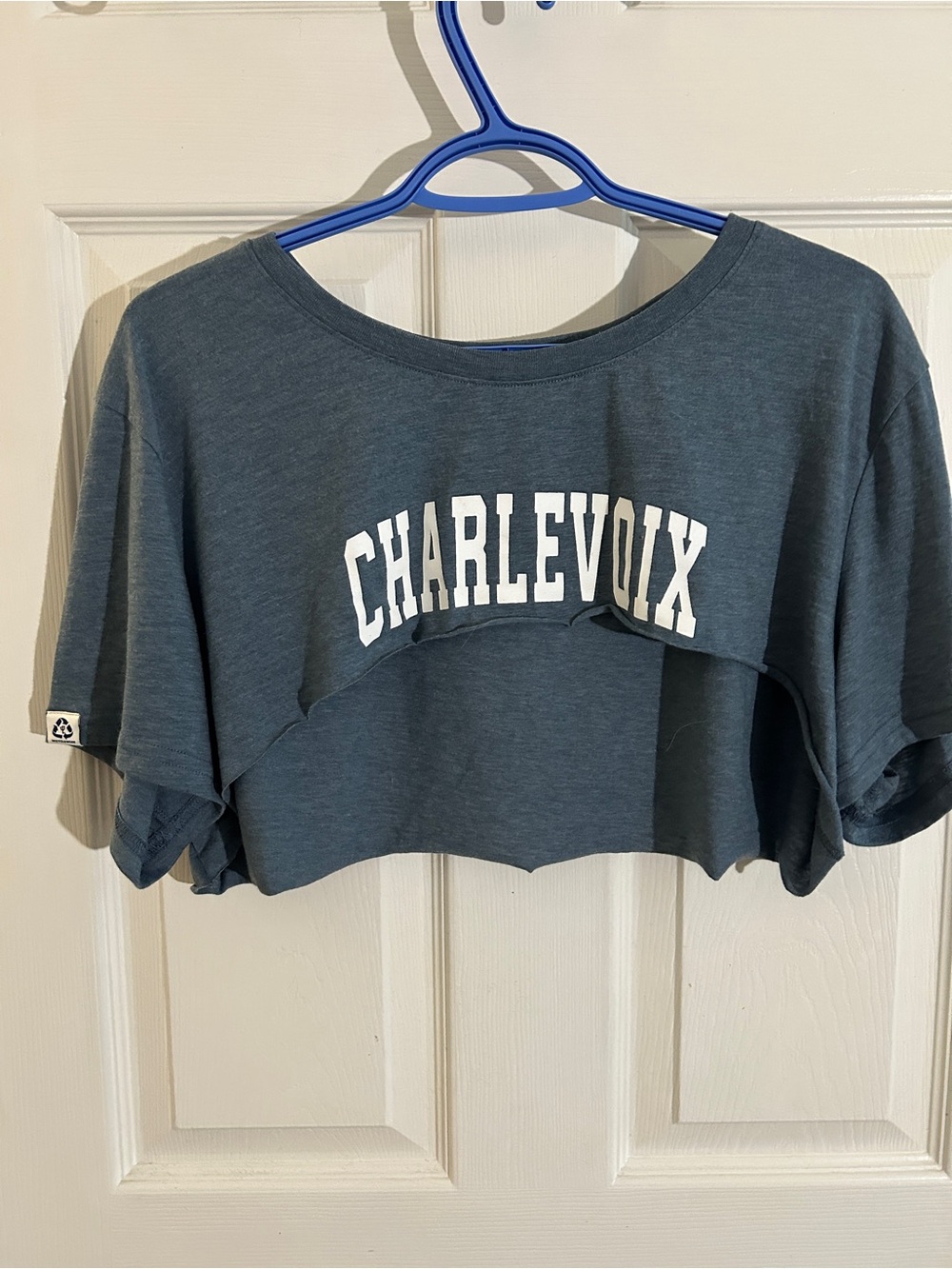 Charlevoix Cropped Graphic Tee Bolero - Slate Blue